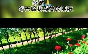 我的大恩人——一个改变我一生的人（恩人的出现，为我点亮了生命的明灯）