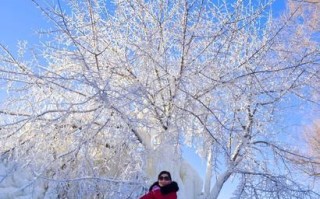 我爱冬天的雪花