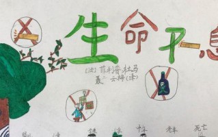生命的温暖