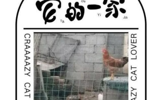 青春岁月下的美好回忆（勇敢追梦，收获成功）