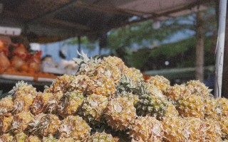 浪花的成长故事(从迷茫到坚定,从模糊到清晰) 浪花的成长故事(从迷茫到坚定,从模糊到清晰)