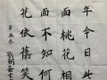 勇敢坚守——梁天先生的故事（一个乡长的背后故事）