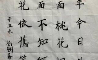 勇敢坚守——梁天先生的故事（一个乡长的背后故事）