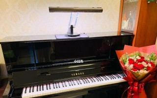 《钢琴之旅》——探索未知的旅程 《钢琴之旅》——探索未知的旅程