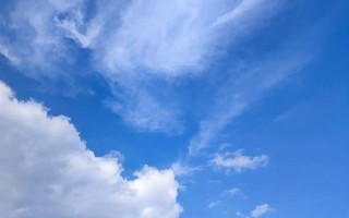 坚定的梦想（追逐心中的梦想）
