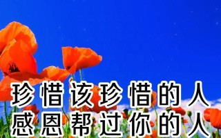 感恩恩师，重拾初心（谨记恩情，不忘初心）