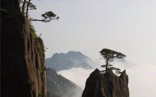 山水造就了世间美丽的生命（一段关于少女和山水的故事）