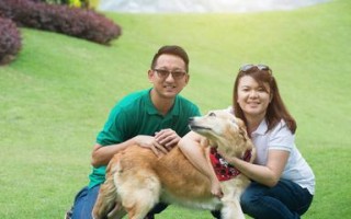 幸福的狗——一只微笑的快乐犬