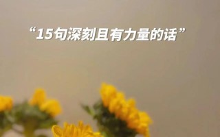 追寻梦想，勇往直前（追寻梦想，勇往直前）