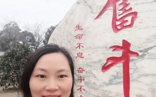 千锤百炼不凋零（坚持和努力是成功的关键）