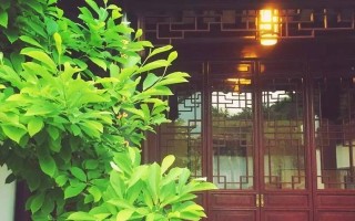 心间之诗（寻找内心的诗意）