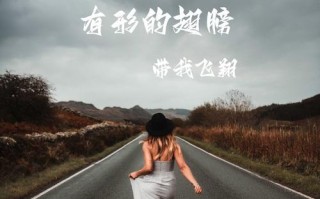 我梦想的翅膀