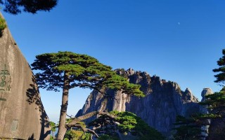 黄山之旅：人间仙境