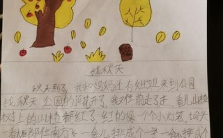 我的最爱之季
