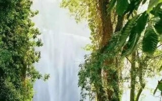 开朗人生-不难的选择