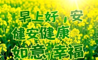 温暖与快乐的相遇