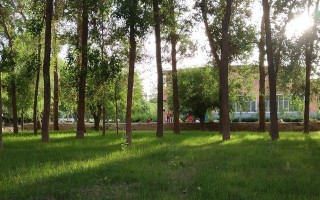 清晨校园，初秋温暖（一次偶遇，彼此感悟）