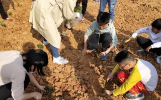 梦想从这里开始（一个孩子的成长故事）