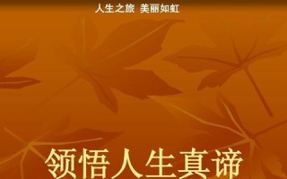 领悟人生的旅程（一个人物的成长故事）