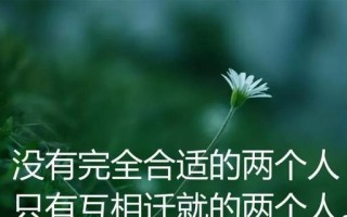 踏实做事，执着追求（踏实做事，执着追求）