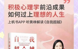 超越自我，享受成功——一个独行者的故事