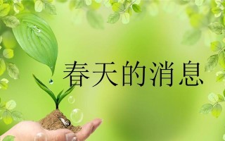 乡村里的故事（乡村里的故事）