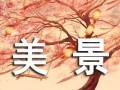 心中的美景（一个不同凡响的旅程）