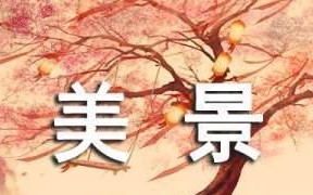 心中的美景（一个不同凡响的旅程）
