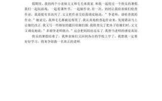 一个令人兴奋的假期（一个令人兴奋的假期）