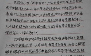 我的新语文老师（她的魅力让我爱上了语文）