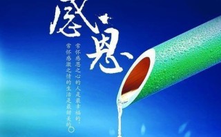 团结才是力量(一个寻宝的故事) 团结才是力量(一个寻宝的故事)
