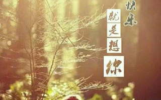 爱与牵挂的故事（一份坚定的情感）