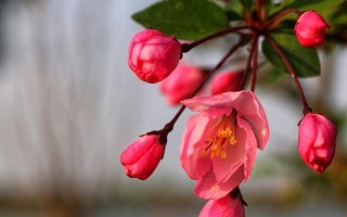 青春如风筝（飞翔梦想，随心所欲）