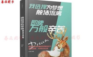 梦想之路（我的画家梦）