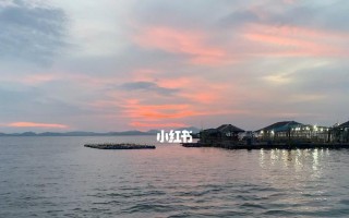 坚持不懈的奋斗（坚持不懈的奋斗）