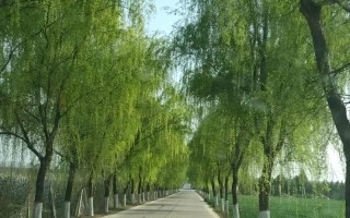 陶醉在童年里的味道（陶醉在童年里的味道）