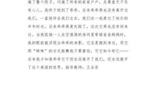一只狗的陪伴与教诲（一只狗的陪伴与教诲）
