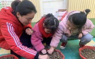 《一个好朋友的陪伴》（从邂逅到成长，她一直在我身边）