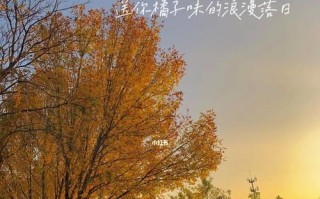以美好的日子过得慢一些（一个人的悠闲时光）