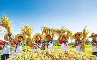 欢乐的田野（追寻自由的冒险之旅）