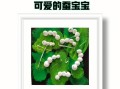 蚕宝宝的成长之路（可爱的小生命，谁来守护）