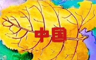 江湖遗志（逆流而上的勇气）