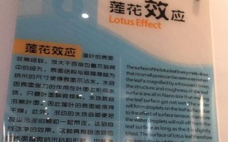 探秘未来之旅（畅游奇妙的科技馆）