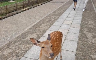 游览之旅