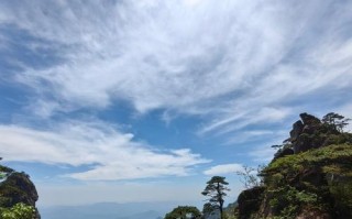 不退缩、不气馁的人生路（一个坚定自己信念的人的故事）