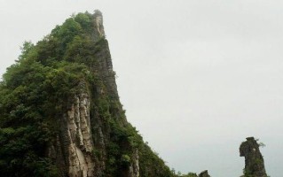 我的共同家园