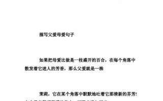 母爱-生命中最伟大的爱