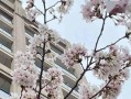 听春天的声音（遇见春天里的故事）