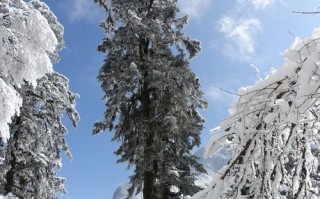 冰雪世界的神奇之旅（一个不一样的冬季旅行）
