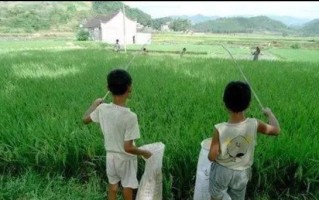 童年有趣的傻事——学校里的“捉迷藏”游戏（一个让我回忆无穷的童年游戏）